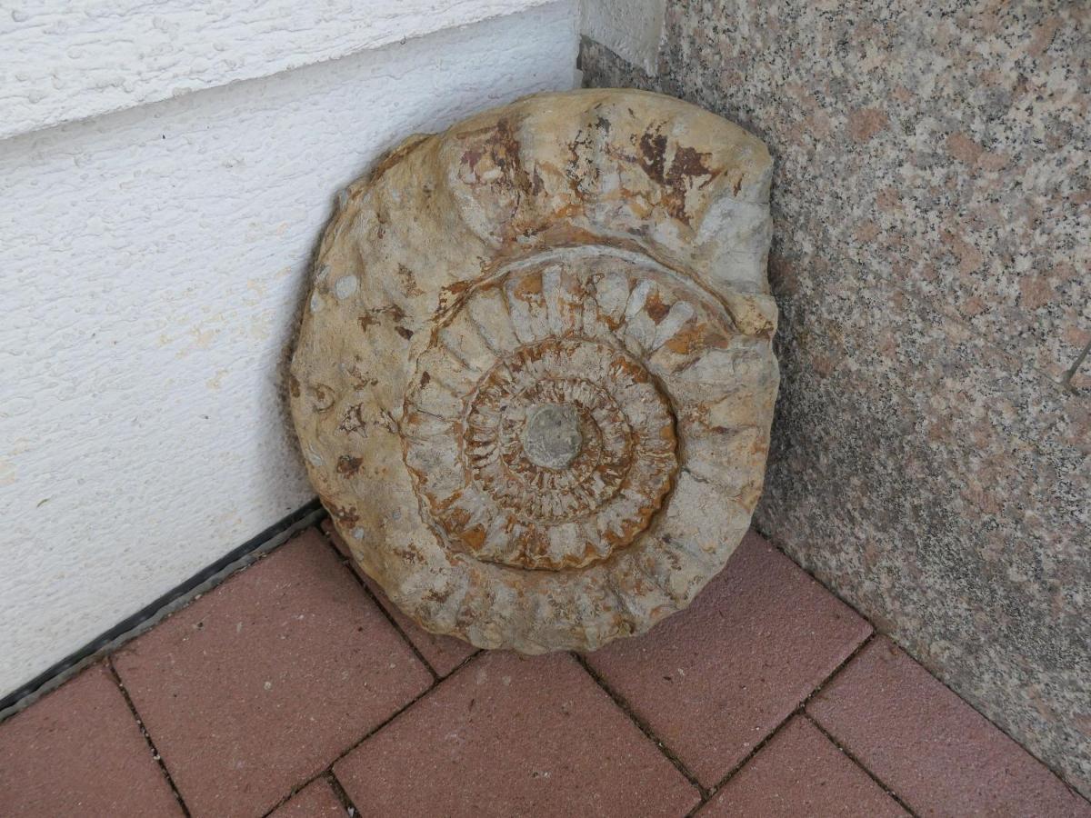 Schneckenhaus Appartement